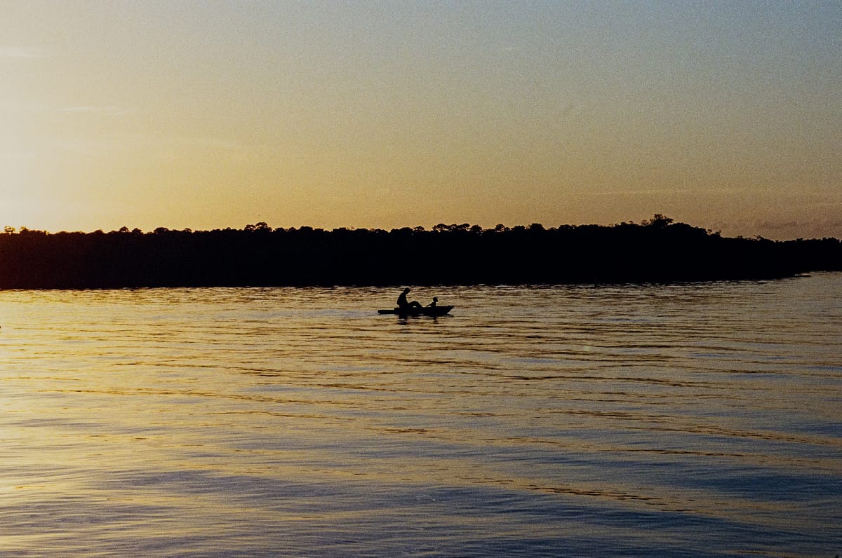 Kodak Ultramax 400 in the Florida Everglades