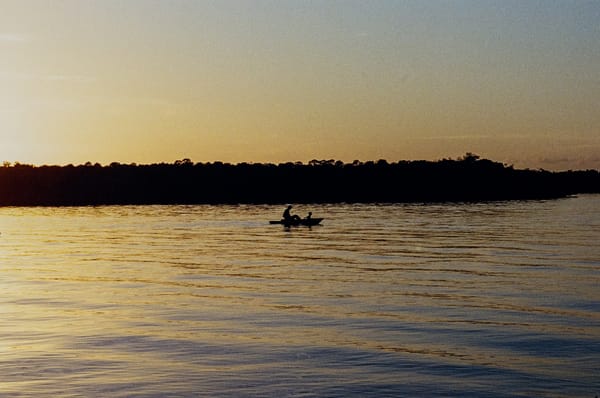 Kodak Ultramax 400 in the Florida Everglades
